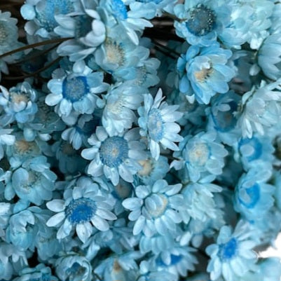 La suspension* parfumée AHONE 'MAMAN EN OR' est fabriquée artisanalement dans les Hauts-de-France. Elle est composée de cire végétale de colza sans OGM et de fragrances de Grasse, et elle est décorée avec des fleurs sechées aux couleurs aléatoires. 
